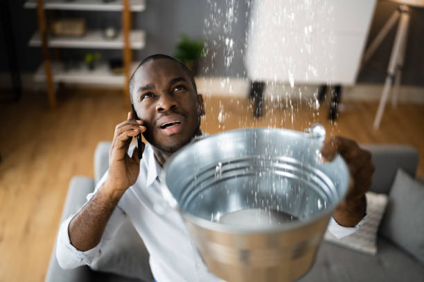 Best Professional water damage repair  in Passapatanzy, VA