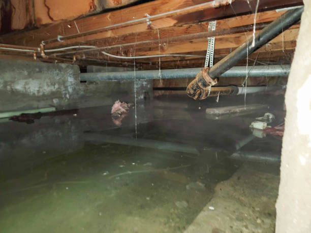 Best Emergency water damage restoration  in Passapatanzy, VA