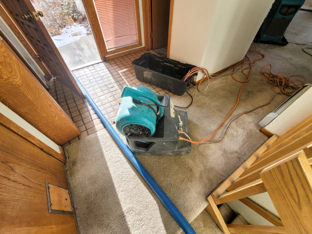 Best Water damage restoration process  in Passapatanzy, VA