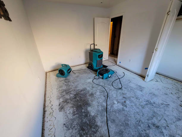 Best 24-hour water damage restoration  in Passapatanzy, VA