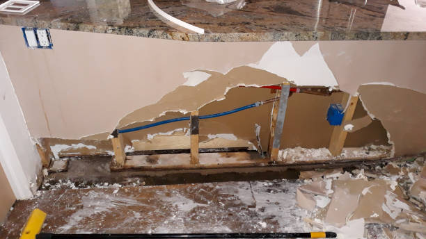 Water damage restoration mold remediation in Passapatanzy, VA