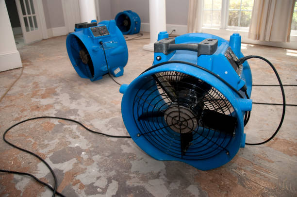 Best Water damage restoration near me  in Passapatanzy, VA