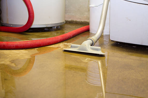 Best Sewage cleanup and water damage restoration  in Passapatanzy, VA