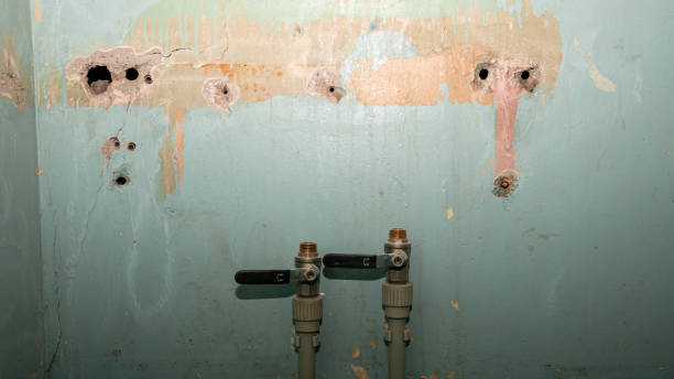 Best Commercial water damage restoration  in Passapatanzy, VA