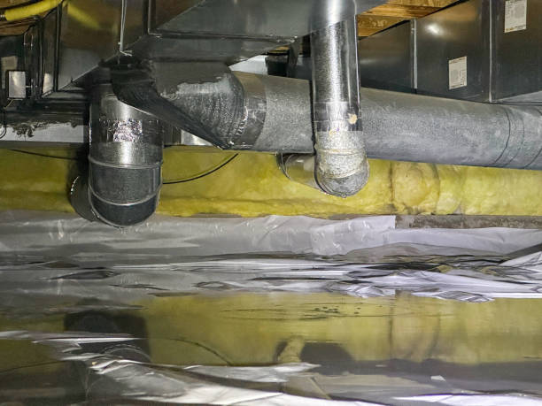 Best Mold removal after water damage  in Passapatanzy, VA