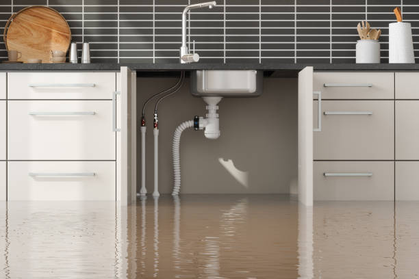 Best Emergency water damage restoration  in Passapatanzy, VA